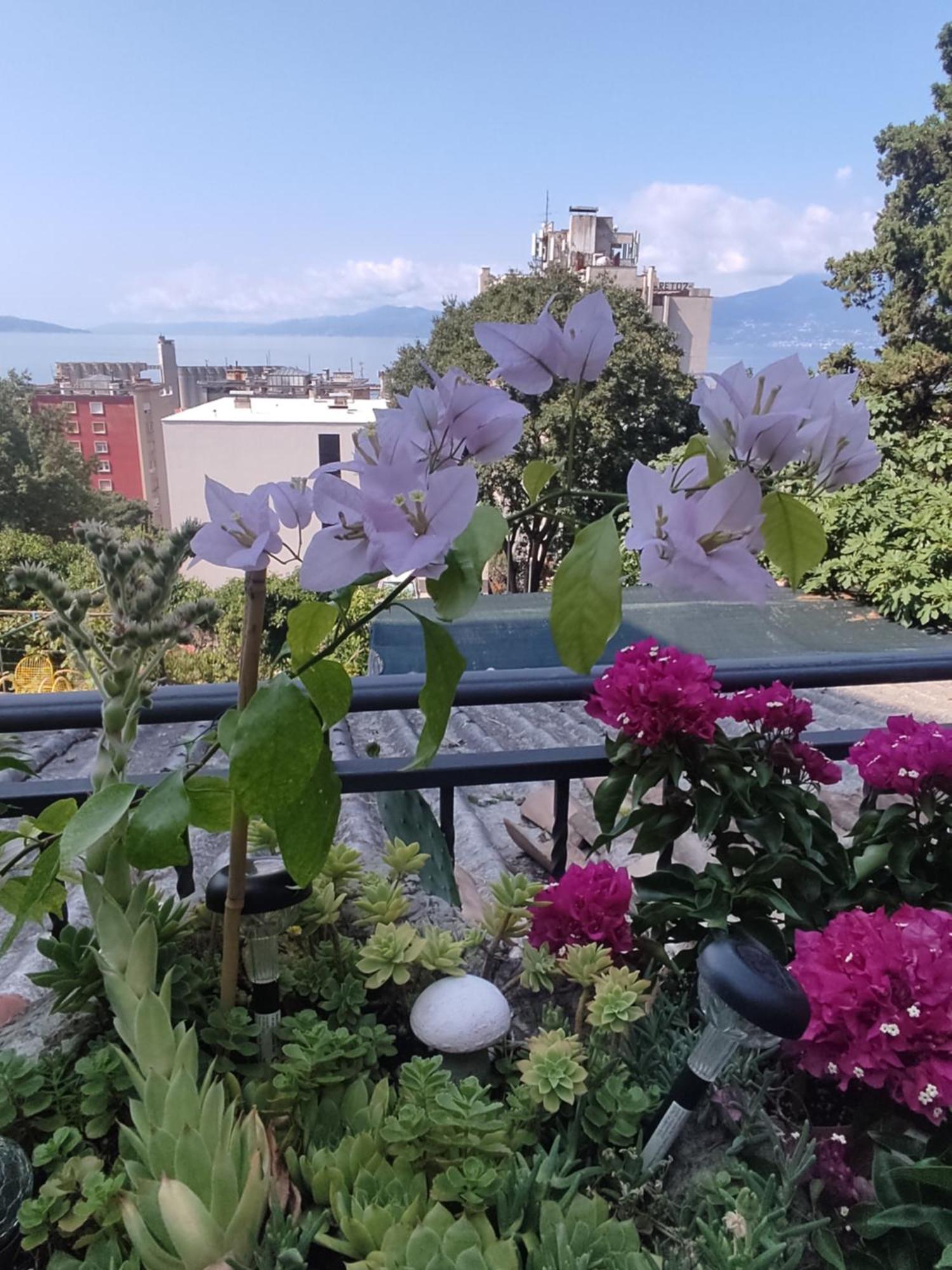 Apartman Bella Vista Rijeka Διαμέρισμα Εξωτερικό φωτογραφία