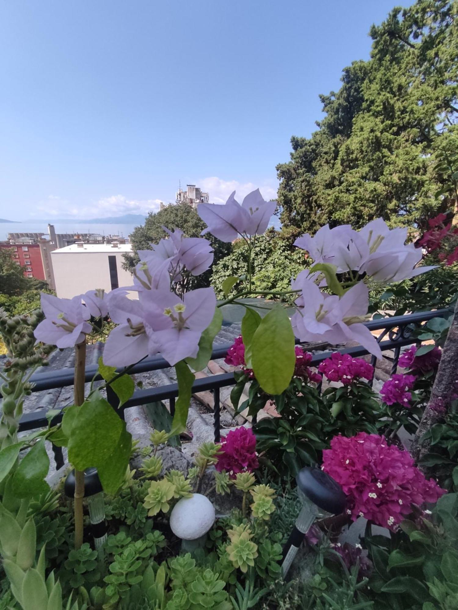 Apartman Bella Vista Rijeka Διαμέρισμα Εξωτερικό φωτογραφία